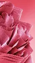 unsplash_--z_uBhtgs4_tissu.webp